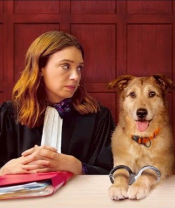 HUNDSCHULDIG - Di, 15.07.2025 - 19 Uhr - Kino Gmunden
